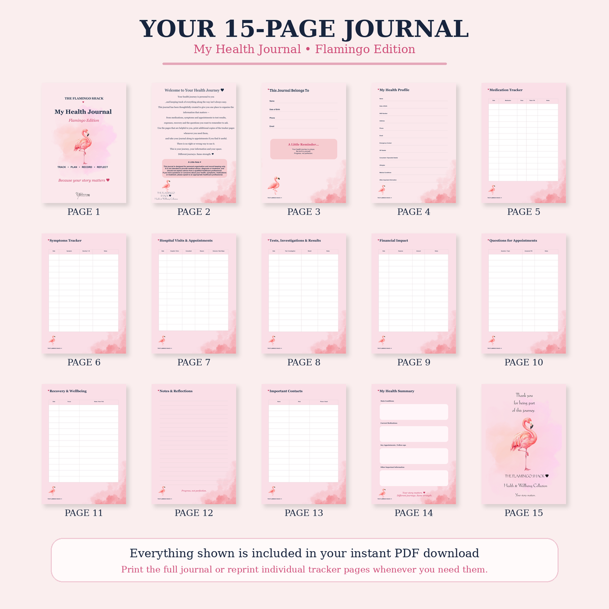 15-Page Overview – My Health Journal Flamingo Edition